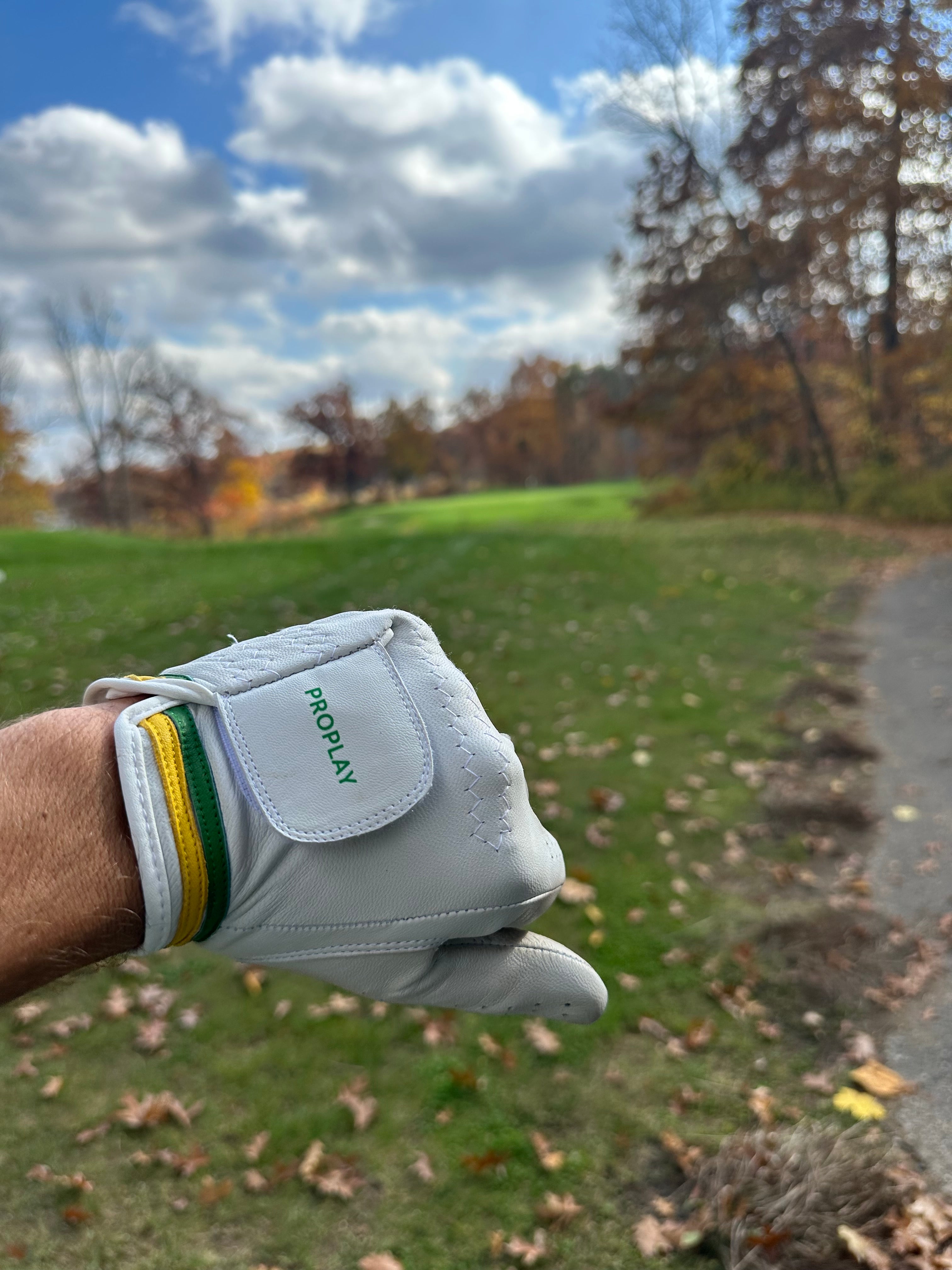 ProPlay Golf Glove